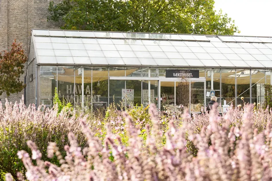Væksthuset café set bag blomster i forgrunden
