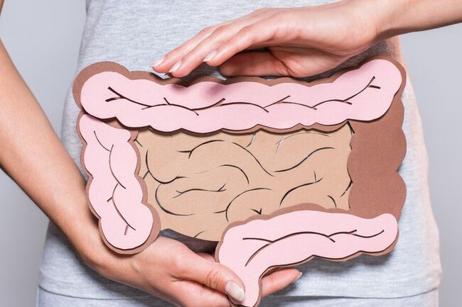 Cardboard guts are held in front of the stomach