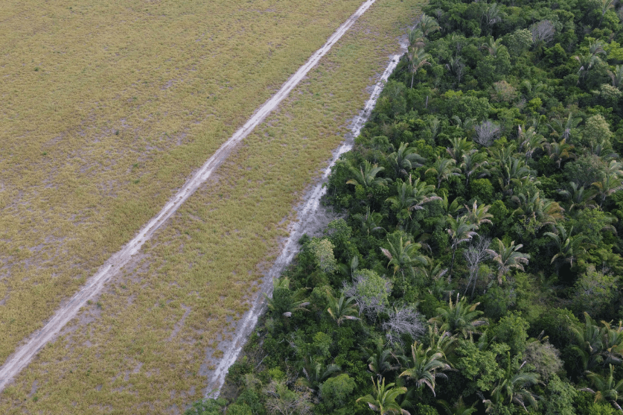 Brejo, Maranhão, Brasilien. Foto: Anne-Sophie Freltoft Knudsen, 2025.