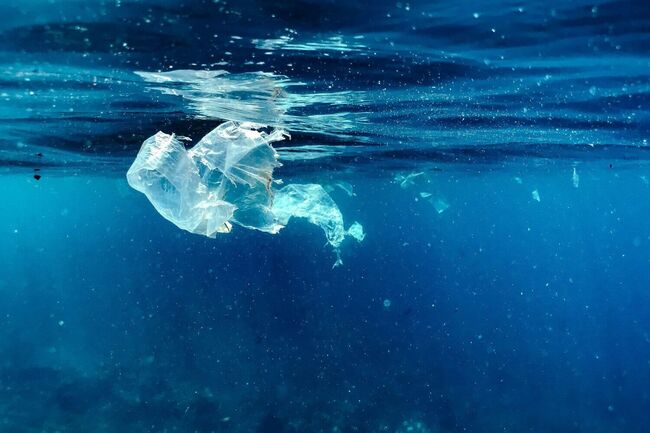 Plastik i havet