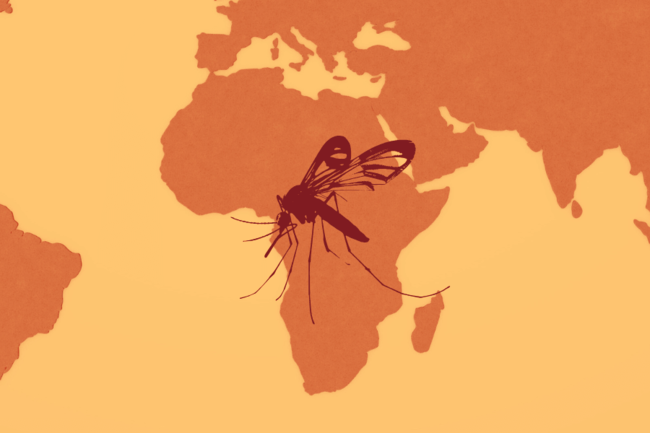 Africa and a mosquito