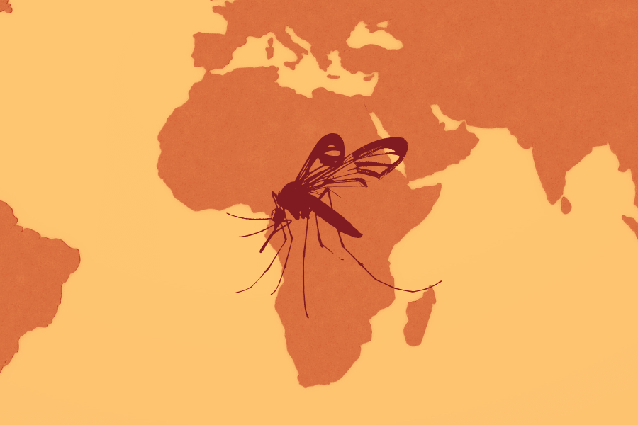 Africa and a mosquito