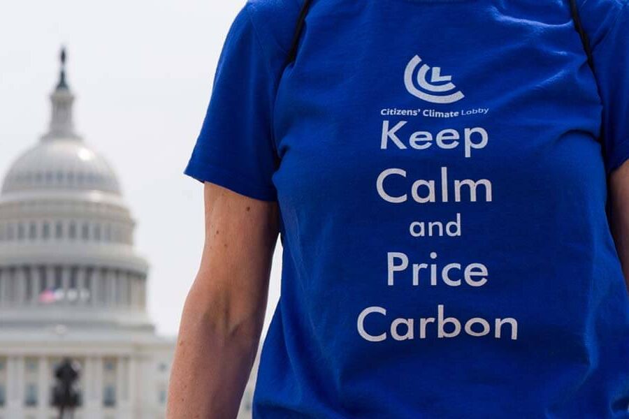 T-shirt saying Keep calm and price carbon