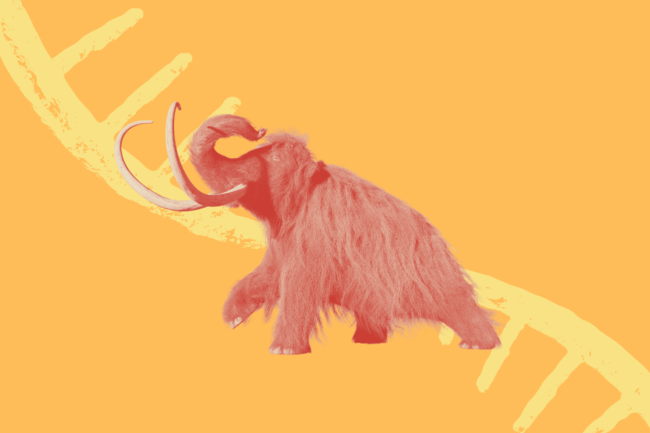 Illustration of a mammoth infront of RNA