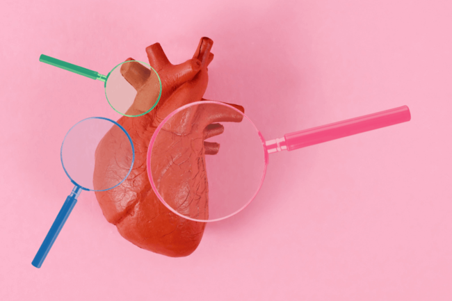 Illustration of an anatomical heart and three looking glasses