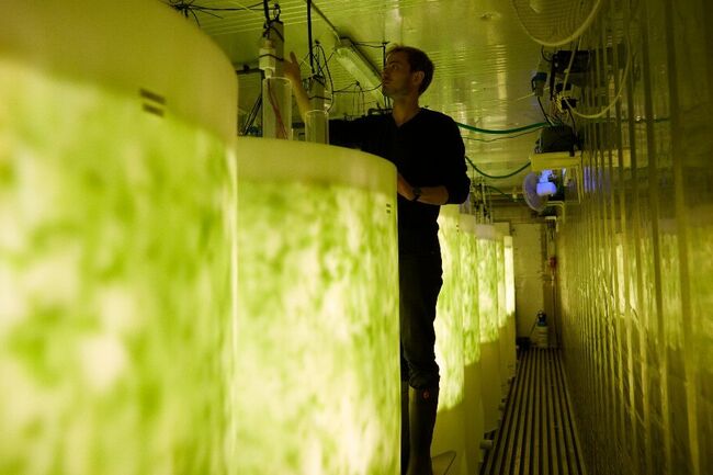 Container with tanks with algae