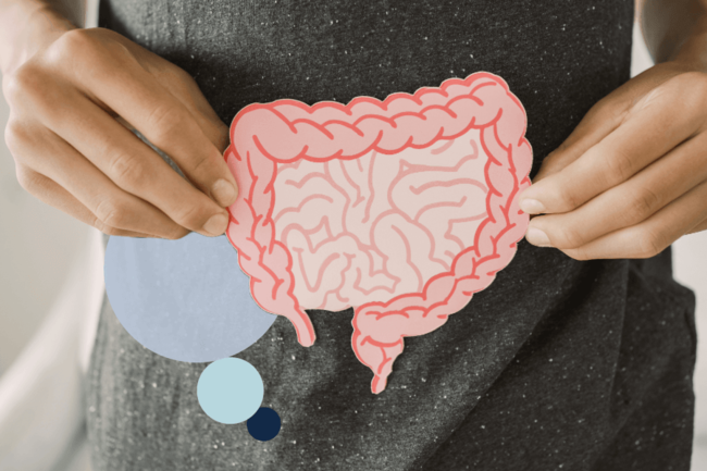 Woman holds illustration of guts in front of her stomach
