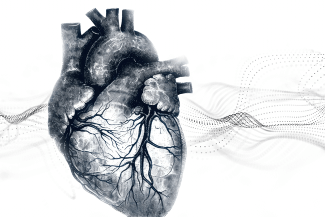 Illustration of atomical heart and data flow