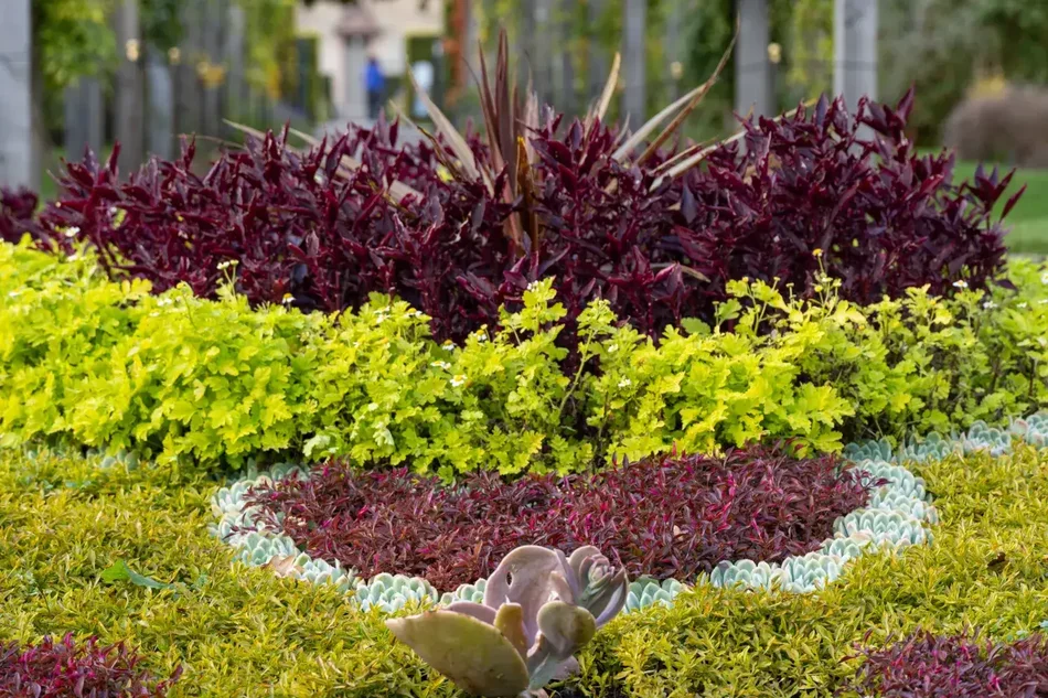 Blomsterbed.