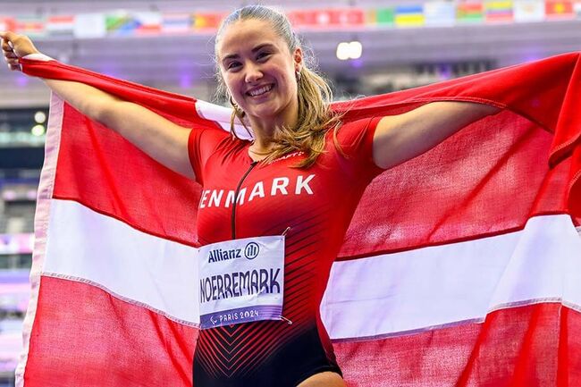 Bjørk Nørremark med Dannebrog